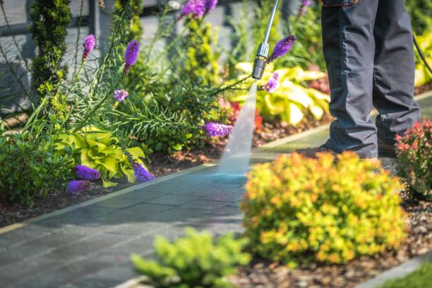 Best Parking Lot and Garage Cleaning  in Rio Bravo, TX